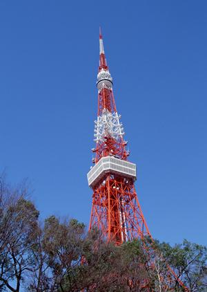 子供から大人まで楽しめる体験ダイビング